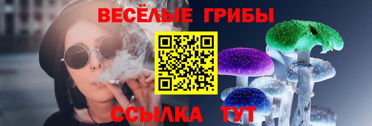 Краснодар  Псилоцибиновые грибы ЛСД  Вход с VPN 